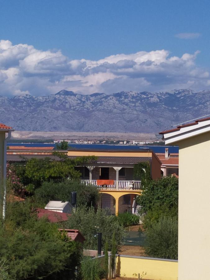 Apartmani Vjeko Vir Extérieur photo