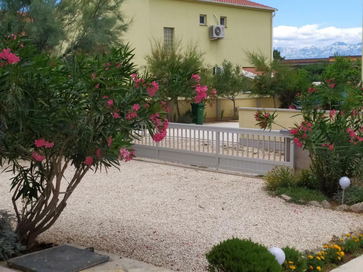 Apartmani Vjeko Vir Extérieur photo